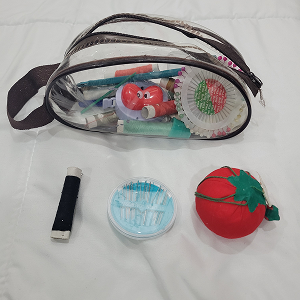 And I gathered all of the necessary materials. (needle, pin cushion, thread, etc.)